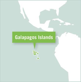 Volunteer Projects in Ecuador, South America Map of the volunteer destination in the Galapagos Island of Ecuador, South America