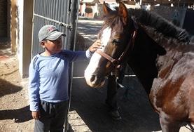 Care A child interacts with a horse at the Equine Therapy Project in Bolivia.