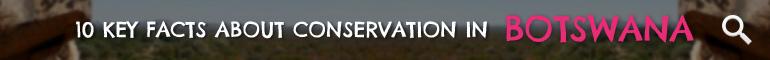 Click here to learn 10 Key Facts about Conservation in Botswana Click here to learn 10 Key Facts about Conservation in Botswana