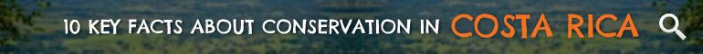 Click here to learn 10 Key Facts about Conservation in Costa Rica Click here to learn 10 Key Facts about Conservation in Costa Rica