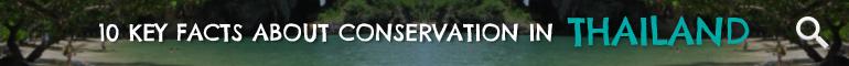 Click here to learn 10 Key Facts about Conservation in Thailand Click here to learn 10 Key Facts about Conservation in Thailand