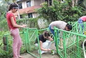 Sri Lanka Volunteers on the Sri Lanka Care & Community High School Special paint a playground at their placement.