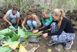 Ecuador Care & Conservation High School Special volunteers feed tortoises as part of their project work.