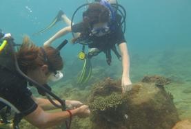 Cambodia Conservation & Community High School Special volunteers in Cambodia dive with staff members.