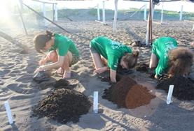 Mexico High School Special volunteers take part in the Conservation and Spanish Project in Mexico.