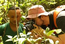 Costa Rica A Conservation volunteer on the Costa Rica High School Special plants a tree with a staff member.