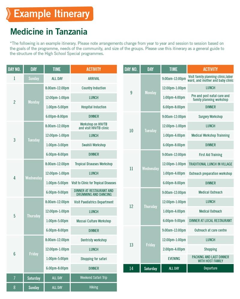 Volunteer Medicine in Tanzania for Teens Projects Abroad