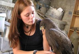 Animal Care Intern Takes Care of Bird with Projects Abroad Intern on the Veterinary Medicine project takes care of a bird