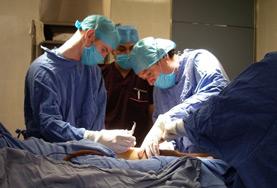 Medicine & Healthcare Volunteers Observe Surgery in a Hospital Volunteers on the Medicine project observe and assist surgery in hospitals