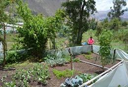 Medicine & Healthcare A professional dietitian uses her expereince and skills at her placement in Peru.