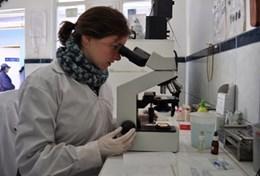Medicine & Healthcare A professional medical doctor works in the laboratory in Peru.