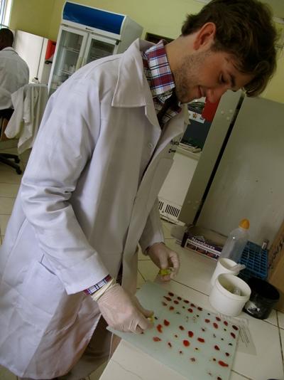Projects Abroad US | Volunteer Abroad Programs & Internships