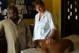 Veterinary Medicine & <br />Animal Care A Veterinary Medicine intern asks a vet questions about a dog being treated.