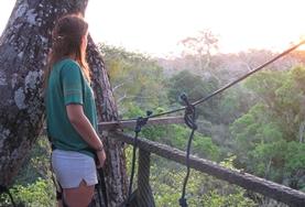 Conservation & Environment Mexico 19+ Conservation volunteer watches the sun rise from a canopy walkway.